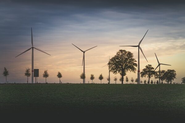 Sistema de Gestión de Medio Ambiente